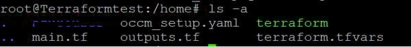 root@Terraformtest:/home# Is -a