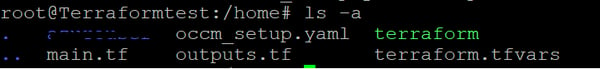 root@Terraformtest:/home# Is -a