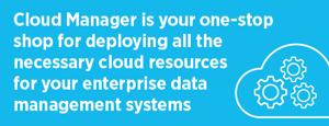 Cloud Manager for Data Management
