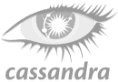 Apache-Cassandra-logo-grey