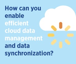 Efficient Cloud Data Management 