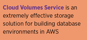 Cloud Volumes Service's storage option in AWS is effective CVS in AWS Storage