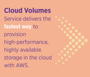 Cloud Volumes Service Delivers Fast