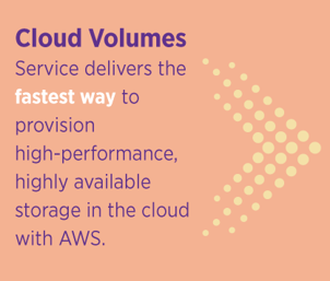 Cloud Volumes Service Delivers Fast Cloud Volumes Service Delivers Fast