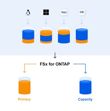 FSx-for-ONTAP