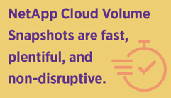 NetApp Cloud Volume Snapshots NetApp Cloud Volume Snapshots