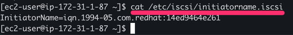 Retrieve the iSCSI Initiator Name in EC2 GitHub Runner