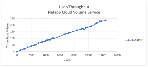 User/Throughput NetApp Cloud Volume Service