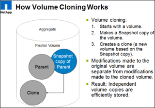 Volume cloning - ONTAP cloud