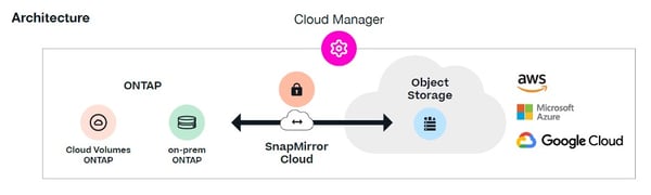 backup manager1