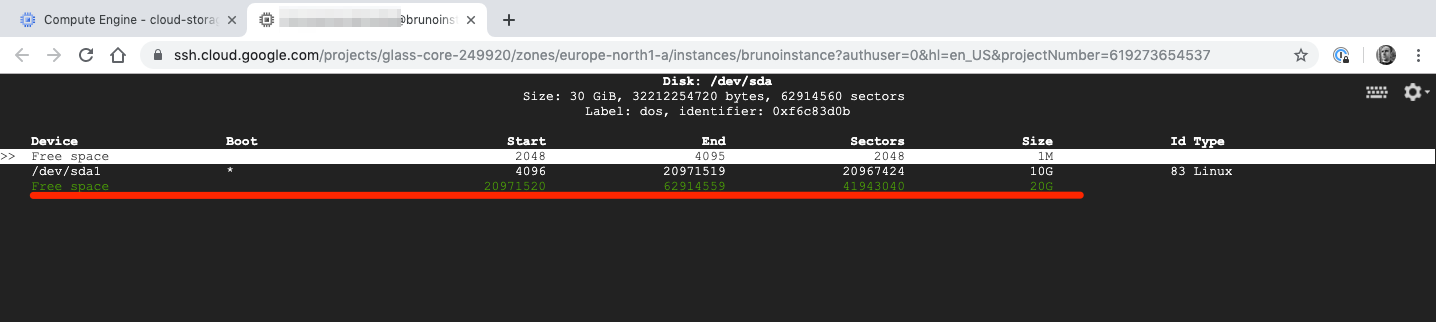 Google Cloud Persistent Disk: How to Resize and Use