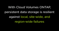 Cloud Volumes ONTAP data storage is resilient Cloud Volumes ONTAP data storage is resilient