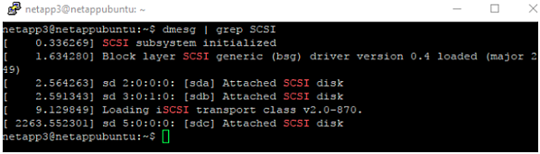 Use the dmesg | grep SCSI command