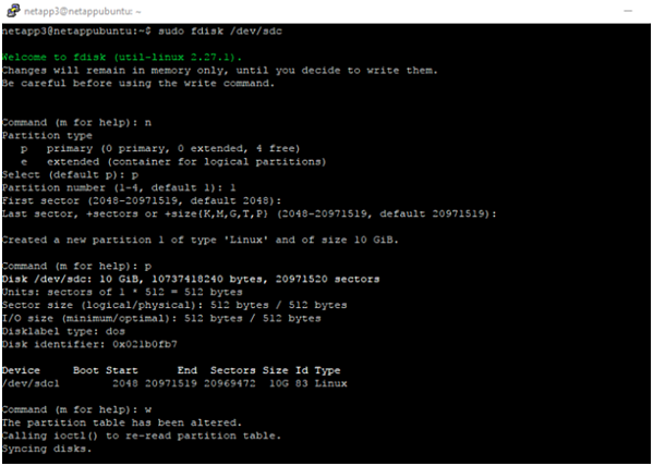 Format and mount the SCSI disk