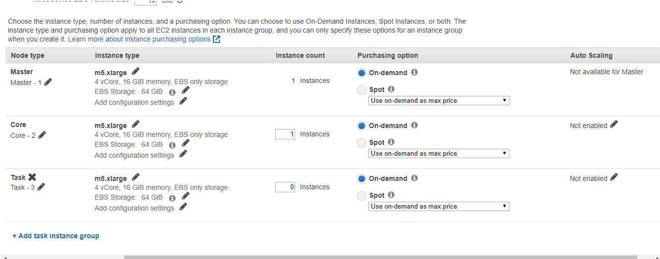 Choose the instance type, number of instances, and a purchasing option.